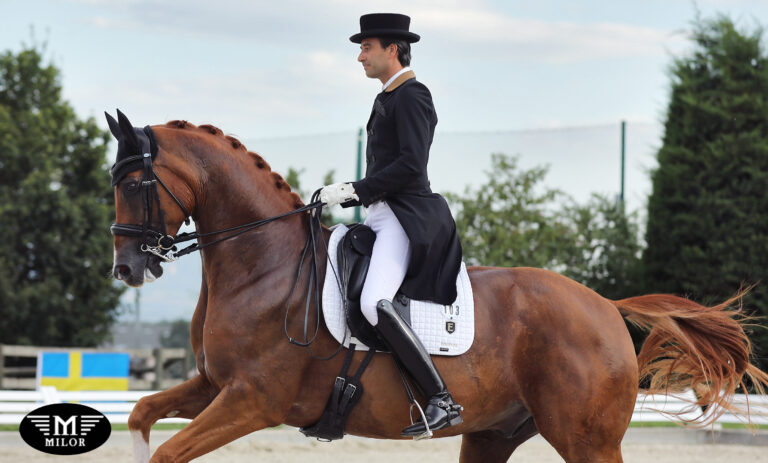 MILOR SADDLERY